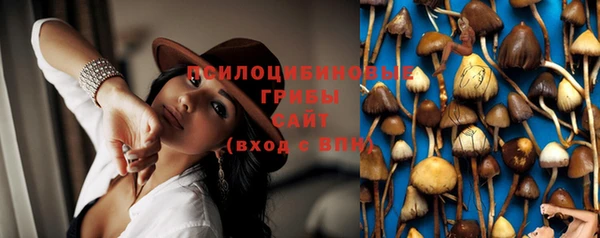 кокс Кинешма