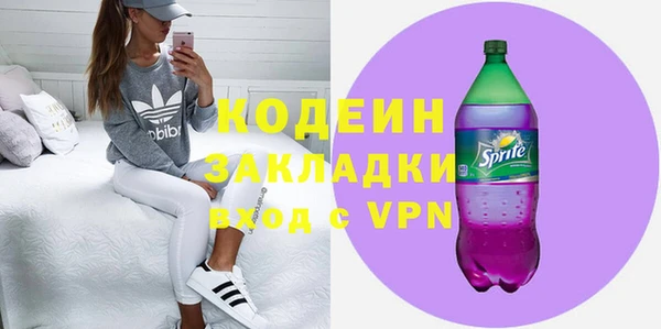 гашик Кодинск