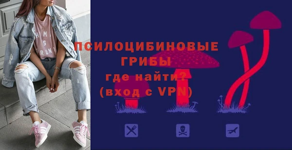 герыч Козловка
