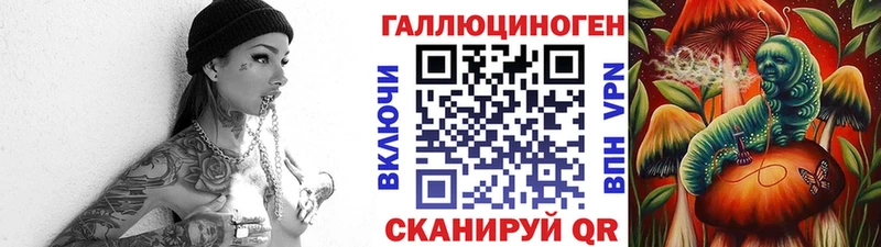 где купить наркоту  Кондрово  OMG как зайти  Псилоцибиновые грибы мицелий 